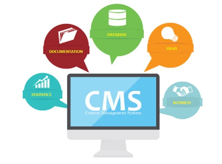 Elevate your website with CMS
