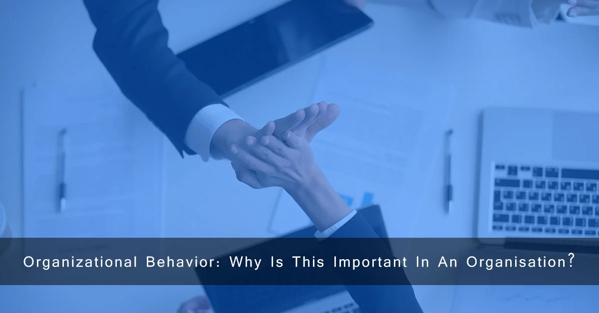 Organizational Behavior: Why Is This Important in An Organization?
