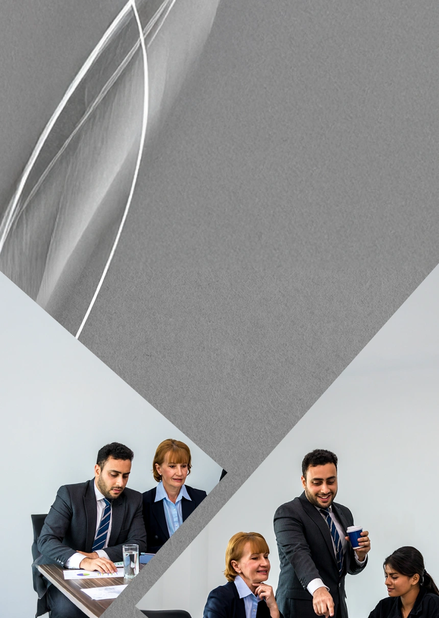 Business consultancy & consulting services