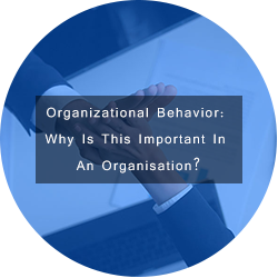 what is organizational behavior and why is it important
